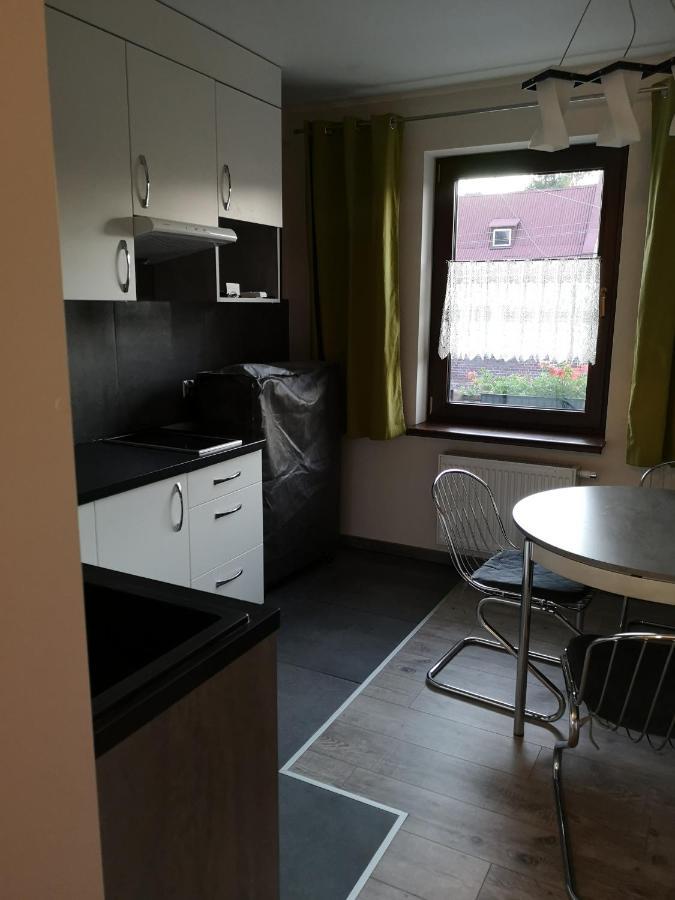 Apartamenty Jaskinia Solna Ruda Slaska Luaran gambar