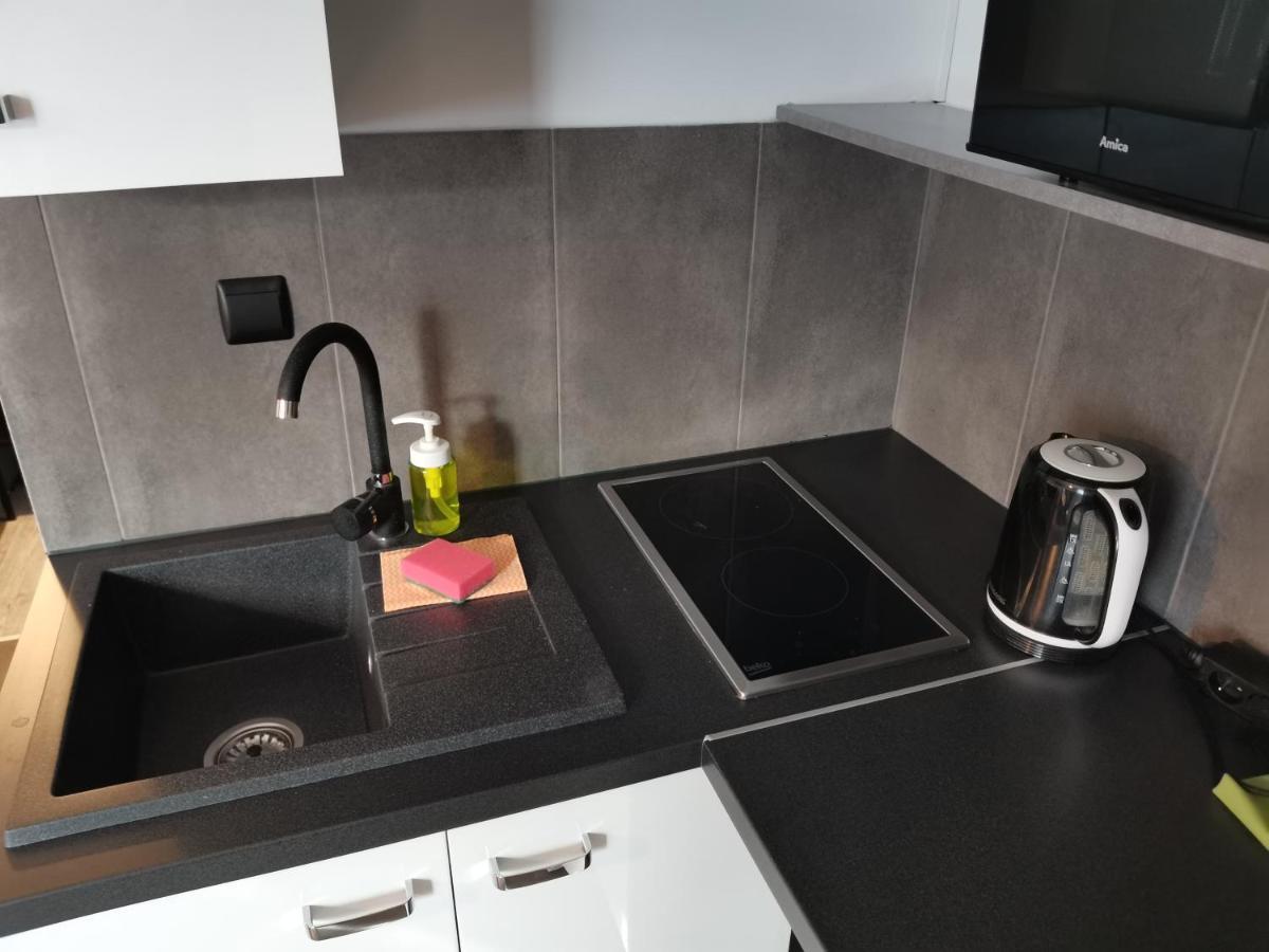 Apartamenty Jaskinia Solna Ruda Slaska Luaran gambar